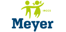Azienda ospedaliera universitaria meyer irccs